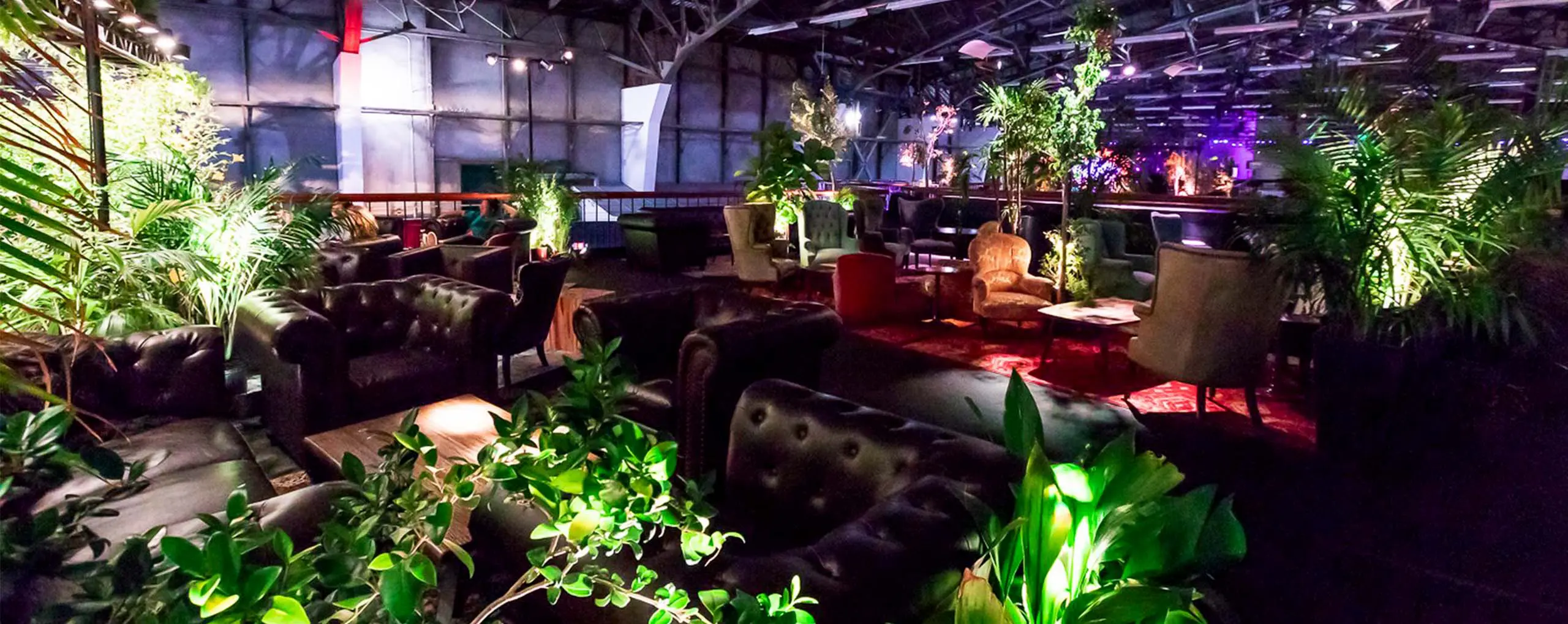 San Francisco Event Venue, Palace of Fine Arts, Interior, Lounge, Event, Day