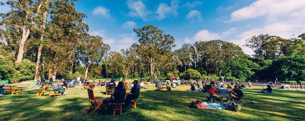 Whale's Tail at Golden Gate Park