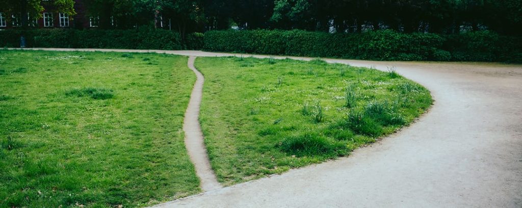 Taking the desired path